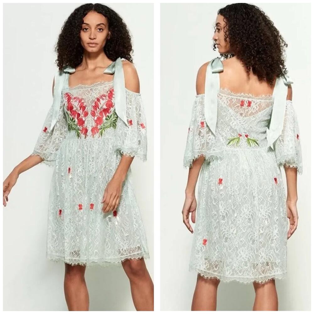 Temperley London Potion Lace Fit & Flare Mini Dress Size 6 Embroidered Fairy